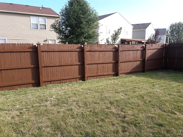 Freshly stained fence