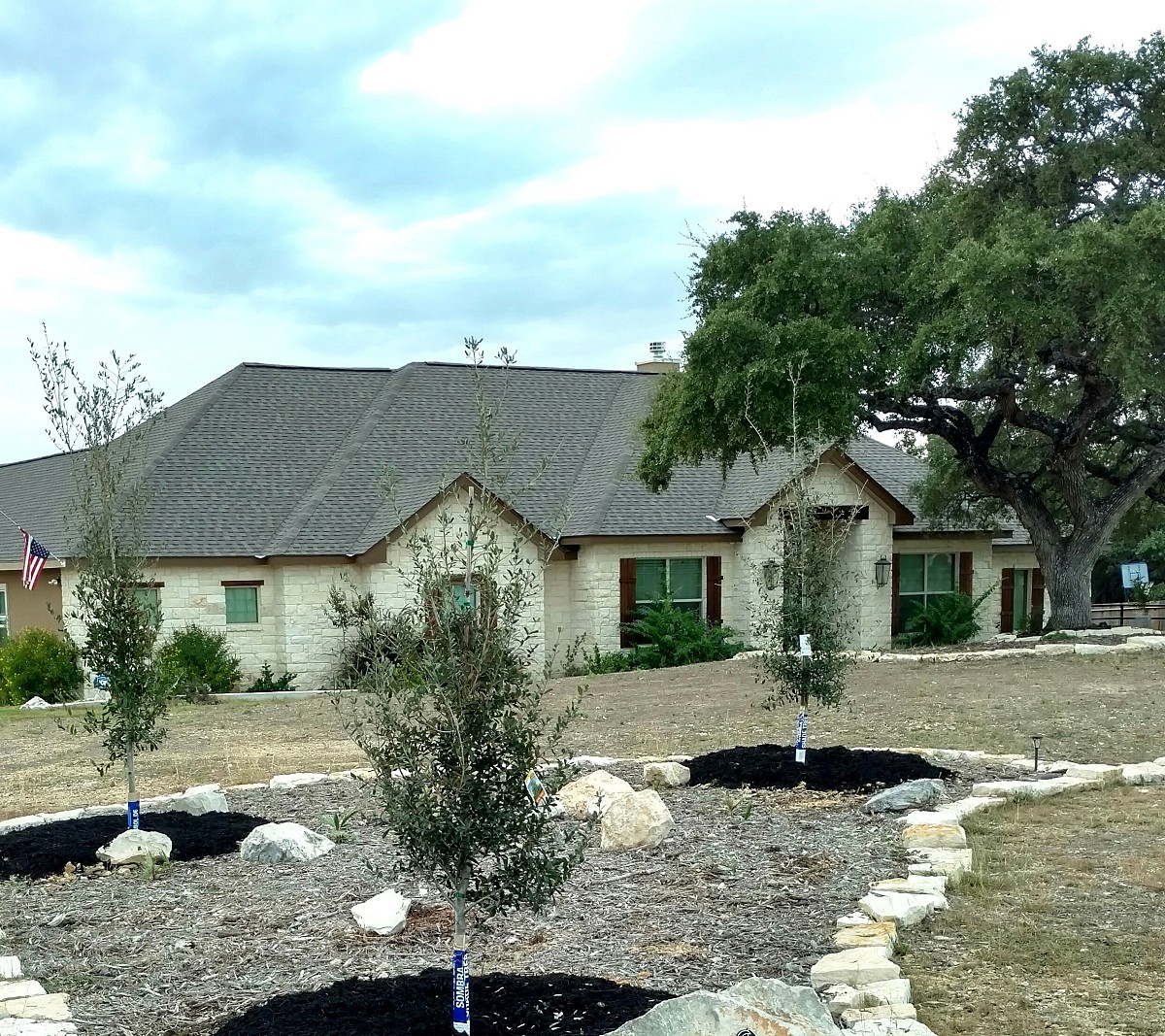 Tree planting adds beauty to my new home