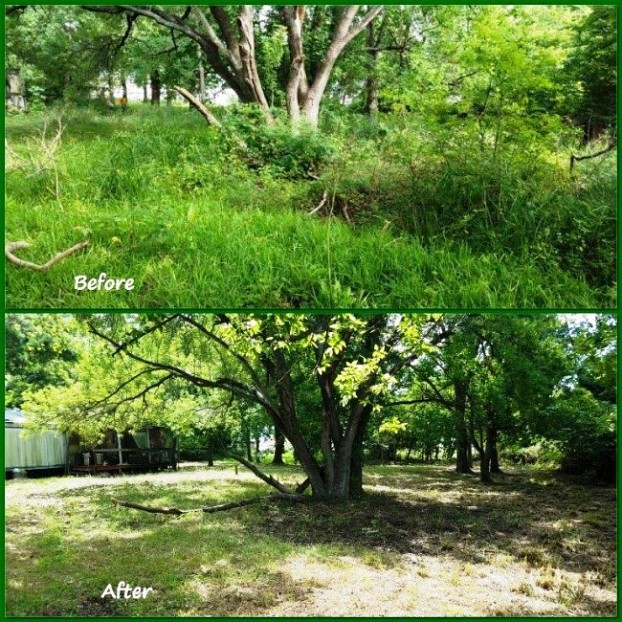 My yard before & after
