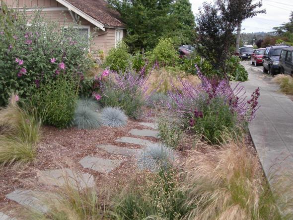 Wild Thyme Garden Design Oakland, CA, 94605 | Networx