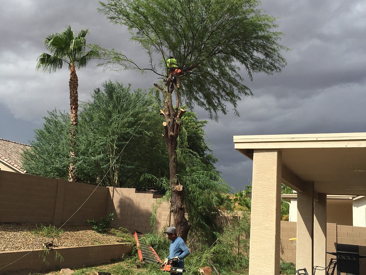 Landaverde Landscaping El Mirage, AZ, 85335 Networx