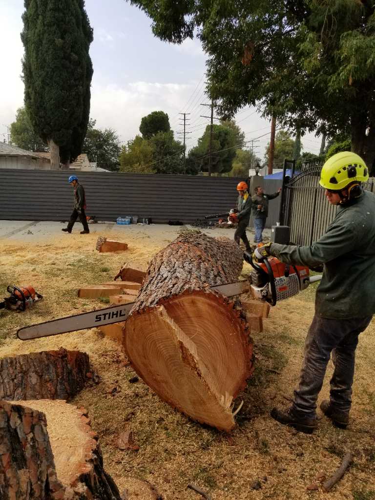 Valley Green Tree Services Van Nuys, CA, 91406 Networx