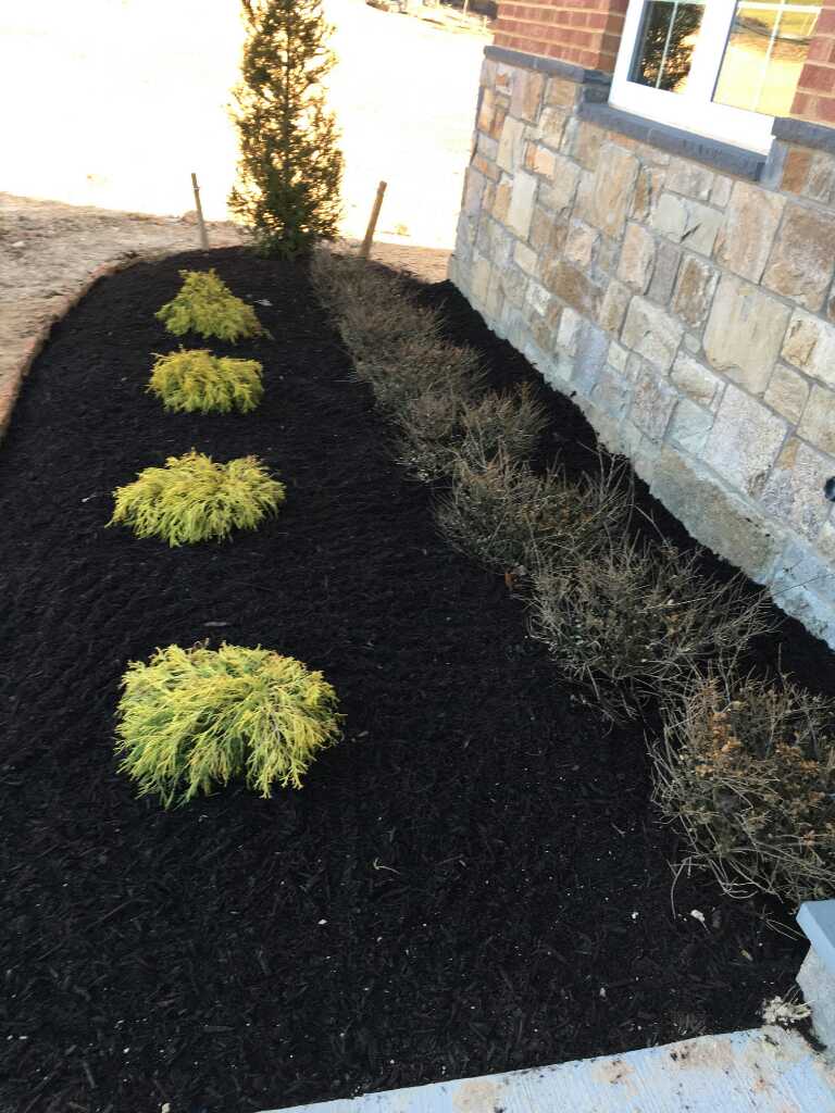Sanchez Landscaping Manassas, VA, 20109 Networx