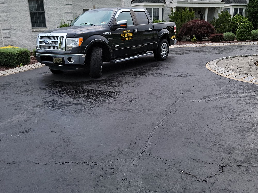 SleepEasy Pest Solutions LLC Edison, NJ, 08817 Networx