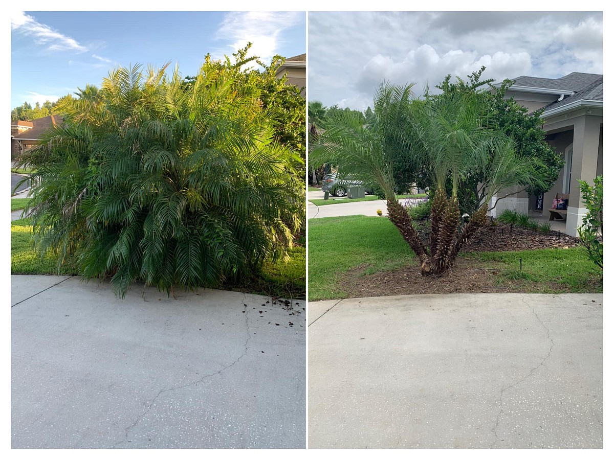 Denney's Land Management Dade City, FL, 33523 Networx