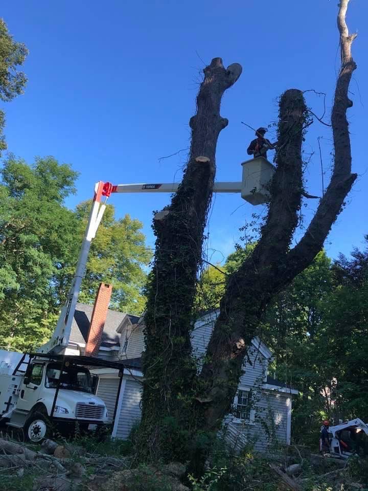 3Ls Landscaping Harwich, MA, 02645 Networx