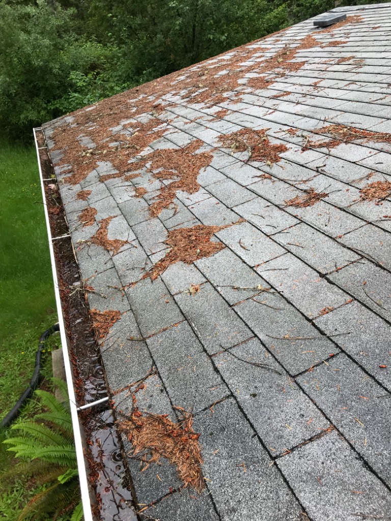 Beckman Property Clean Up Port Orchard, WA, 98367 Networx