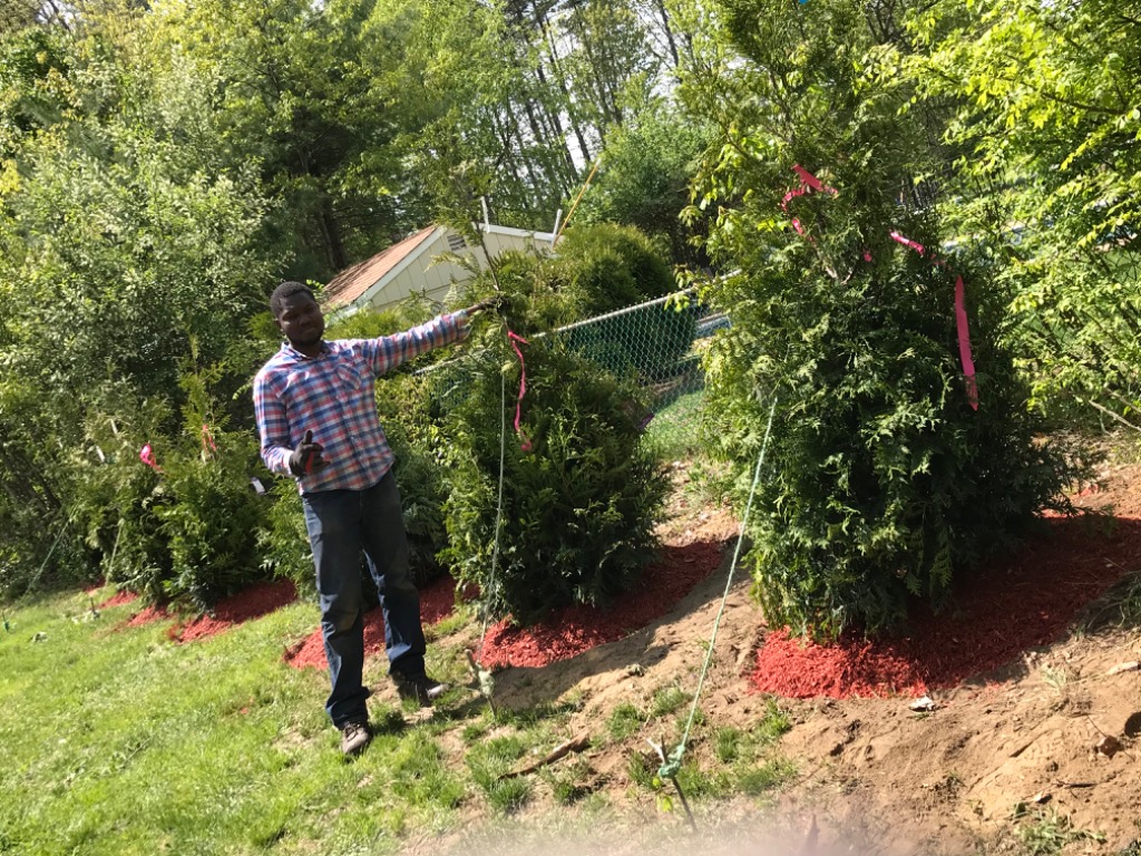 Green State Landscaping Lancaster, PA, 17602 Networx