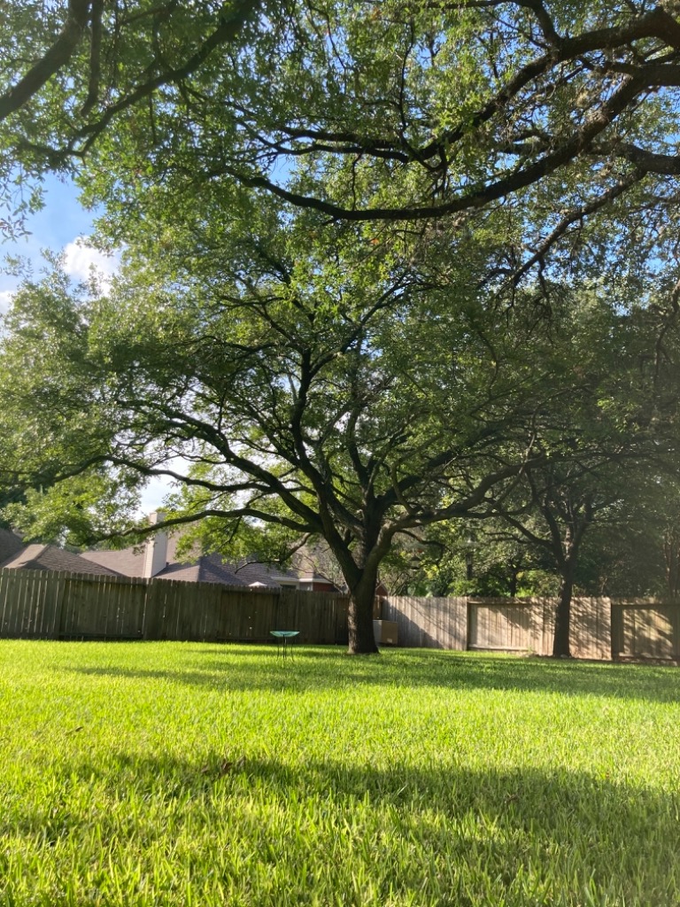 Ecotree and Ground Control San Antonio, TX, 78250 Networx