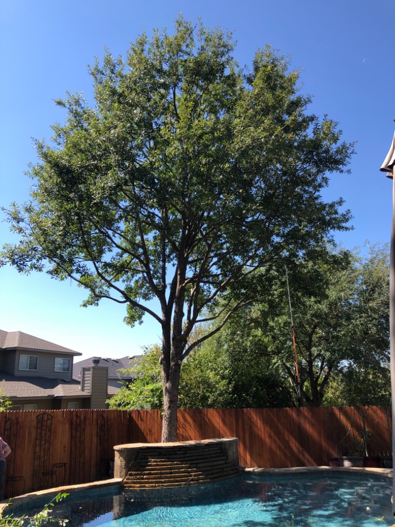 Ecotree and Ground Control San Antonio, TX, 78250 Networx