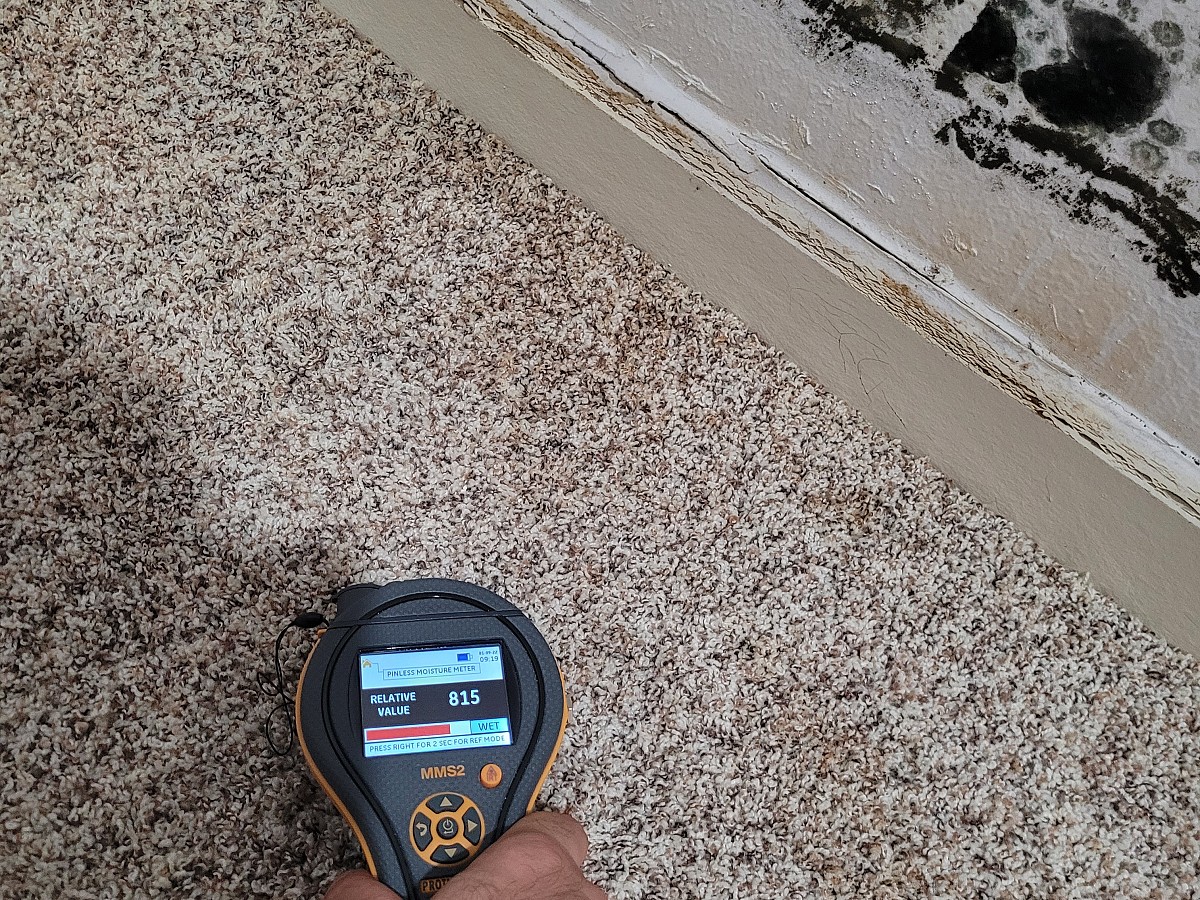 Delta Construction & Restoration Bakersfield, CA, 93311 Networx