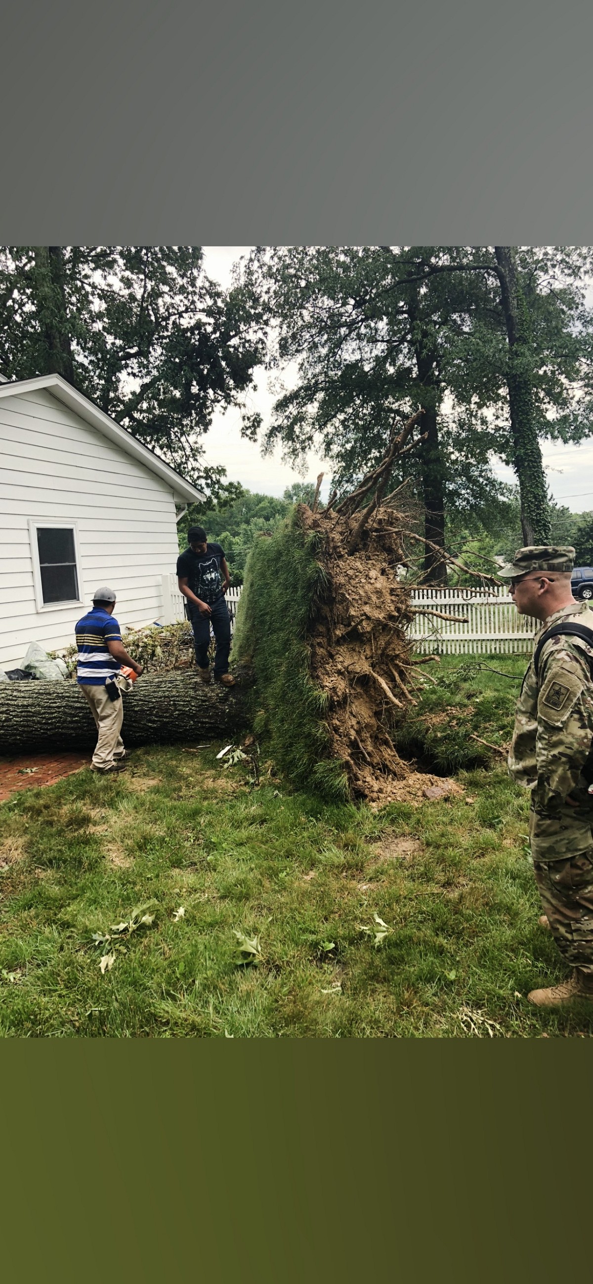 Smart Saw Tree Service Greensboro, NC, 27409 Networx