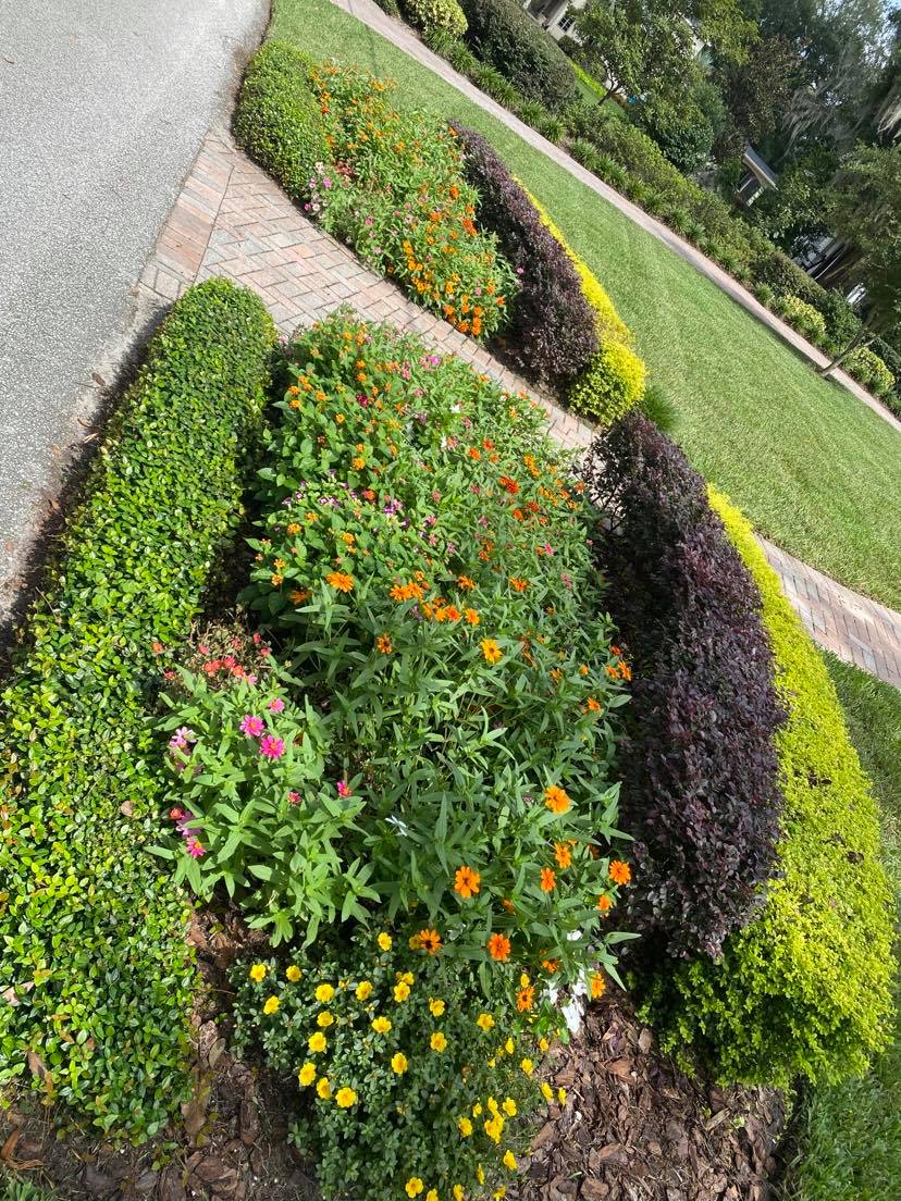 Angels Pro Landscaping Services Deltona, FL, 32725 Networx