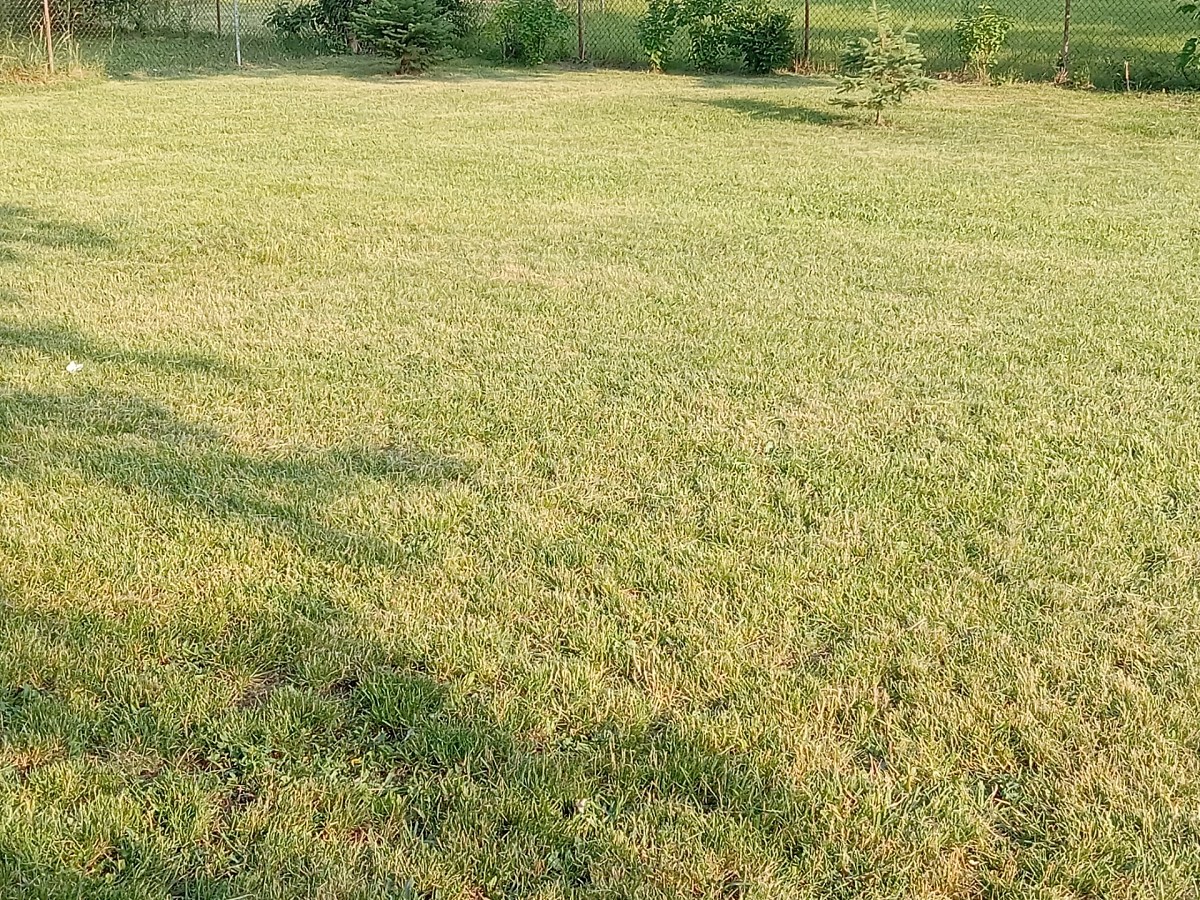 ADS Lawn Care Ypsilanti, MI, 48198 Networx