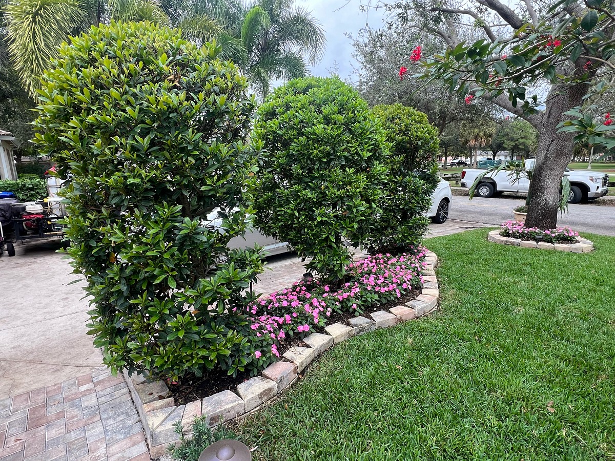 Empire Services Group Pompano Beach, FL, 33064 Networx