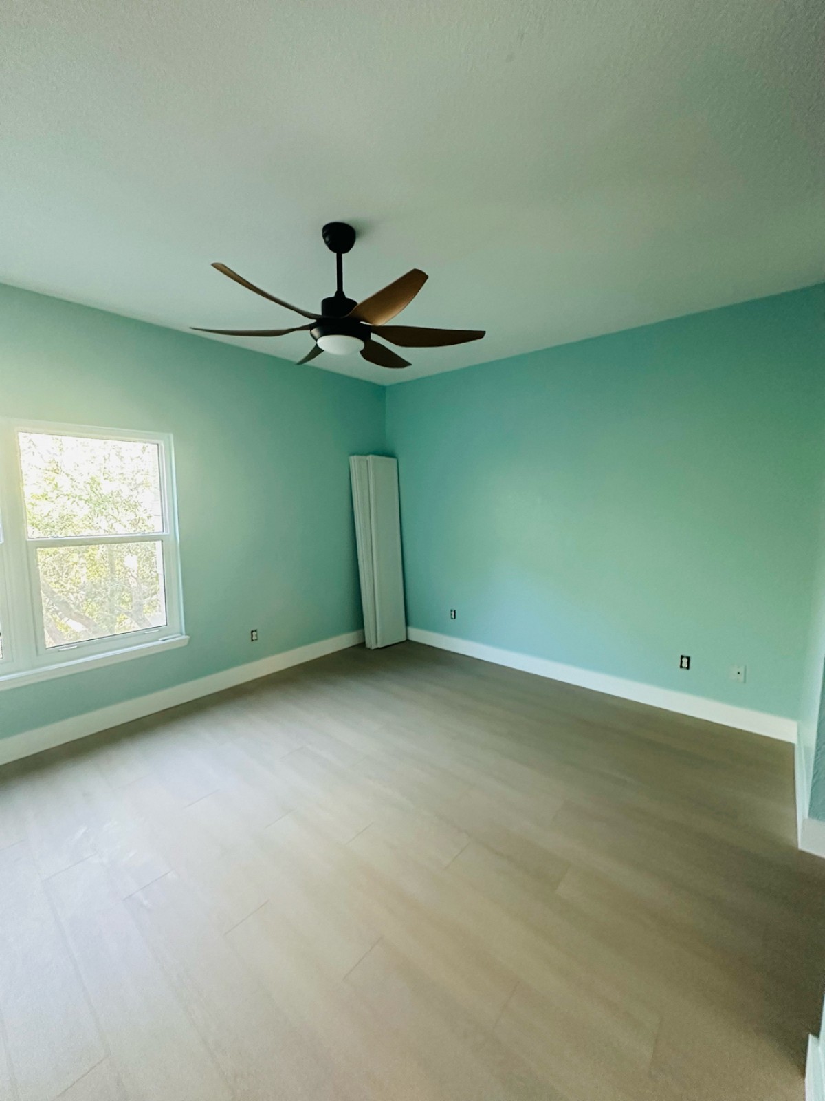 First Class Cleanings Tampa, FL, 33607 Networx