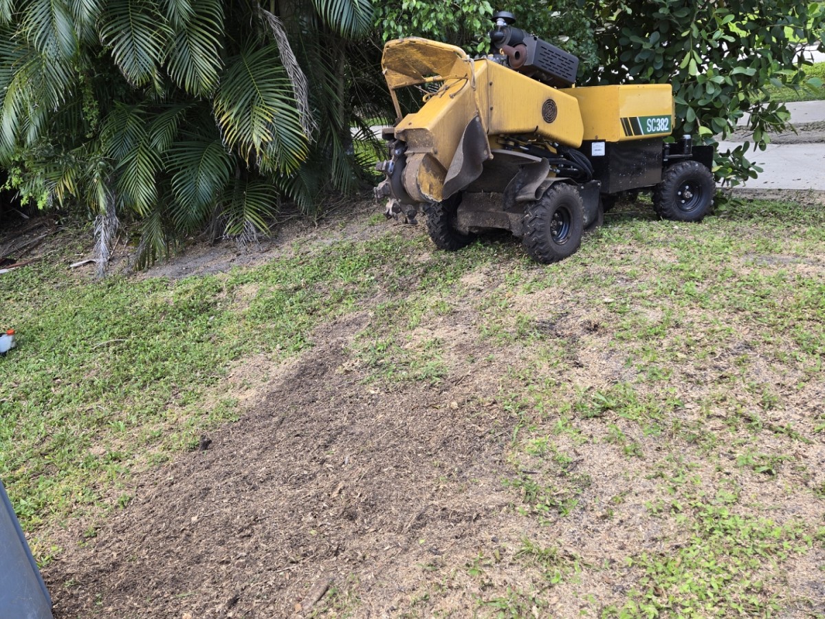 Full Height Tree Services LLC Jupiter, FL, 33458 Networx