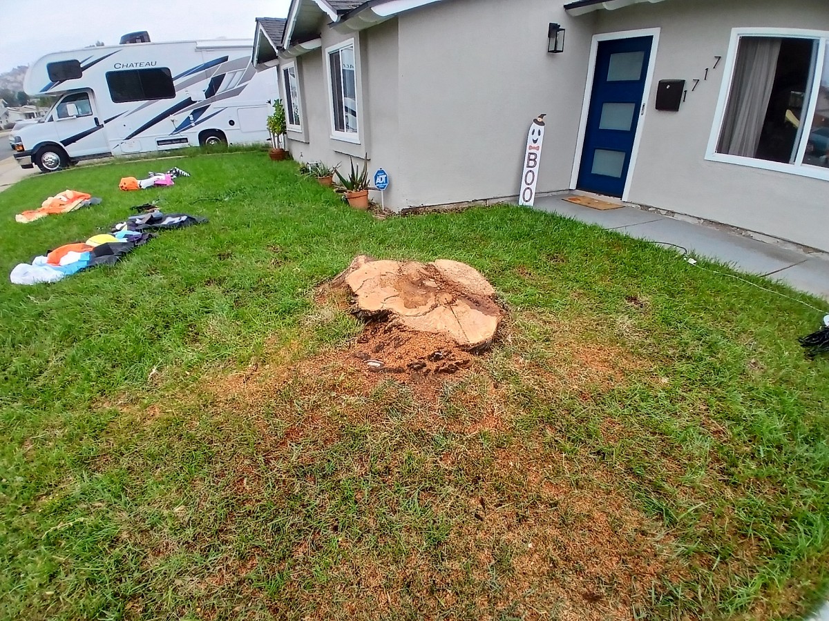 Domingo Landscaping and Tree Services Escondido, CA, 92025 Networx