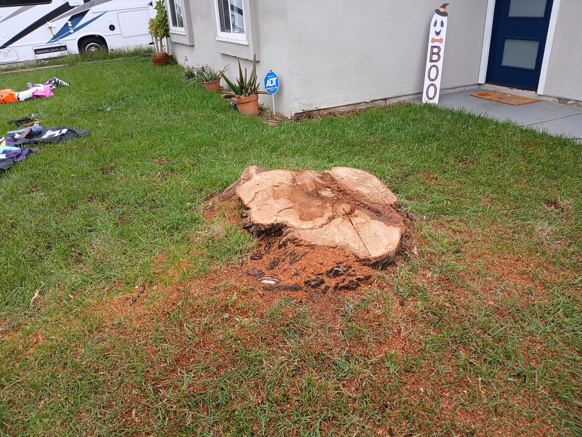 Domingo Landscaping and Tree Services Escondido, CA, 92025 Networx