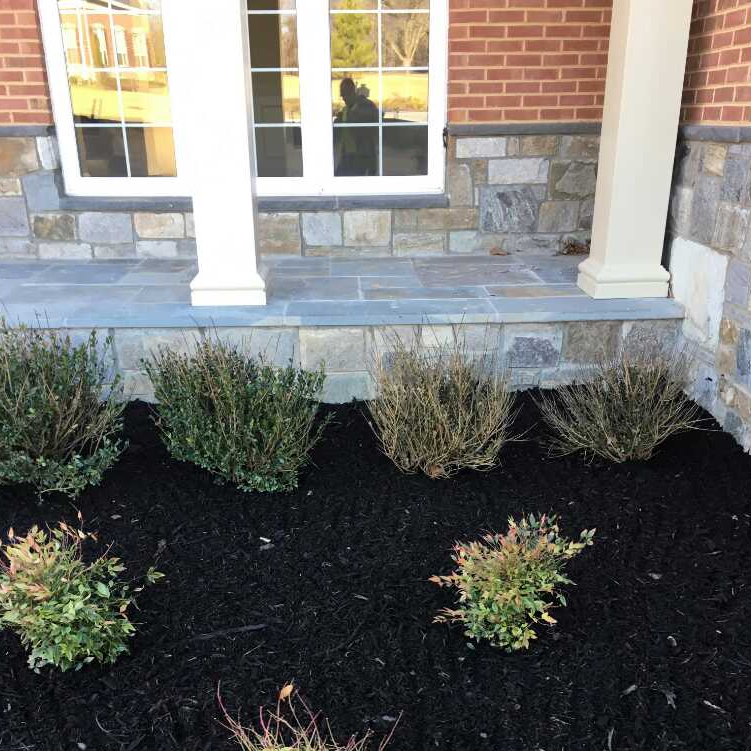 Sanchez Landscaping Manassas, VA, 20109 Networx