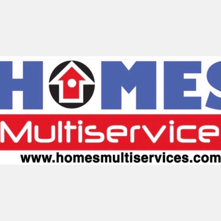 Homes Multiservices, LLC Wesley Chapel, FL, 33543 Networx