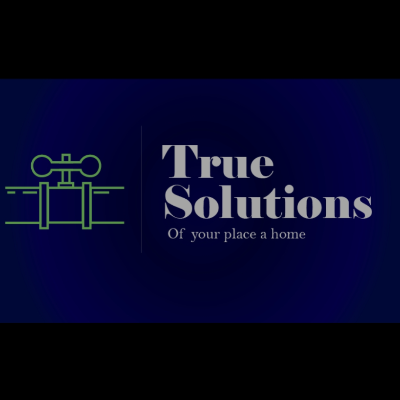 True Solutions Budd Lake, NJ, 07828 Networx