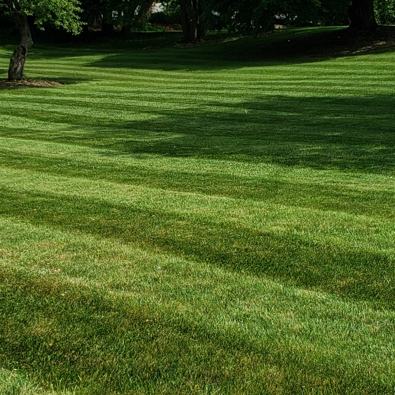 Wellington Landscaping Erie, PA, 16506 Networx