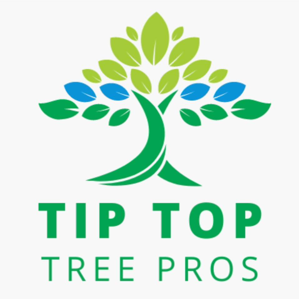 Tip Top Tree Pros Wheaton, IL, 60187 Networx