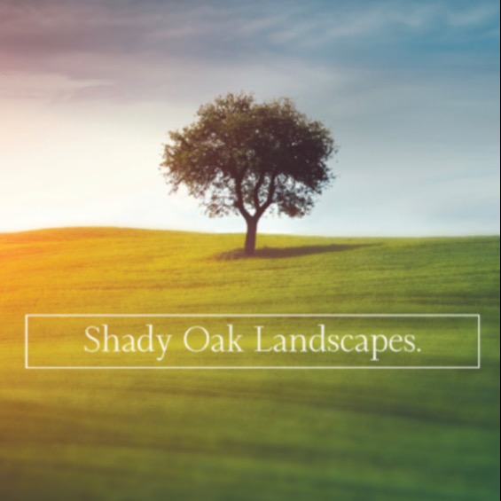 Shady Oak Landscapes Sarasota, FL, 34232 Networx