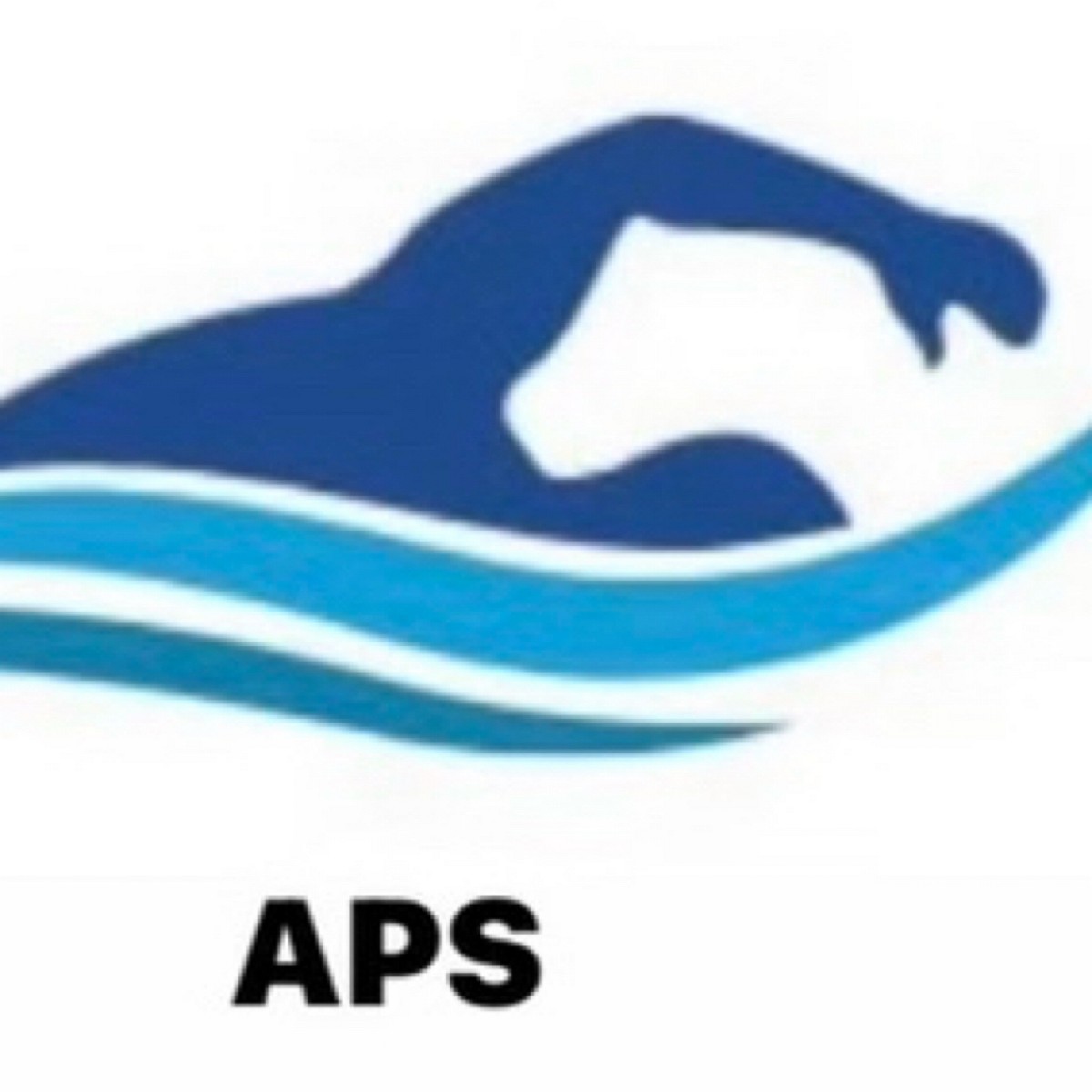 Aucay Pools Danbury CT 06810 Networx aucay-pools-danbury-ct-06810-networx