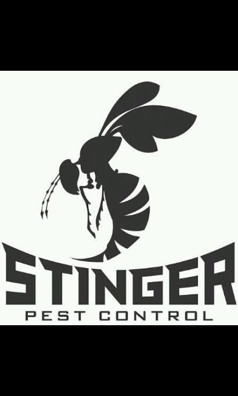 Vespid Pest Control San Antonio, TX, 78250 Networx