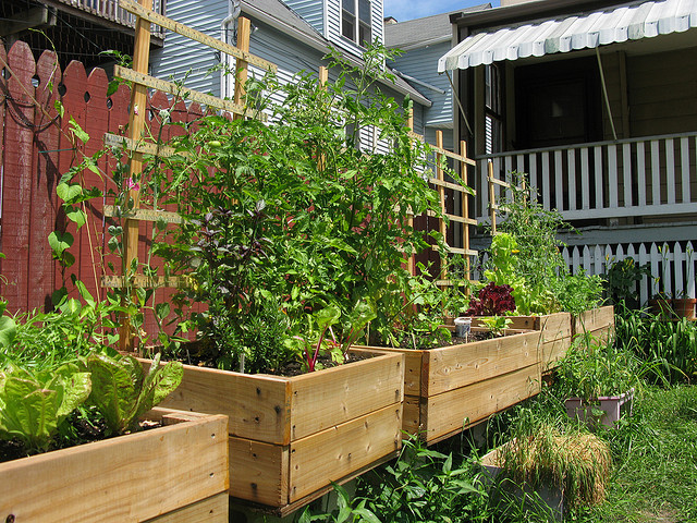 Five Ways to Use a Small Urban Backyard | Networx