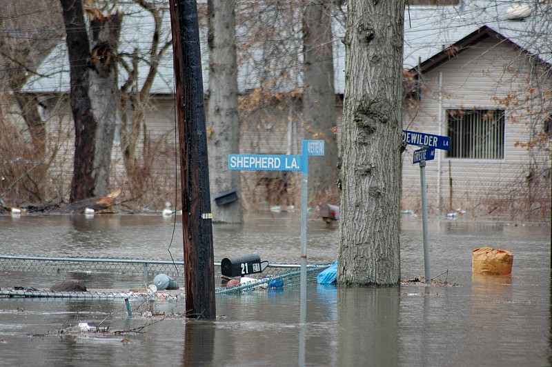 how-much-do-cleaners-charge-for-flood-cleanup-networx