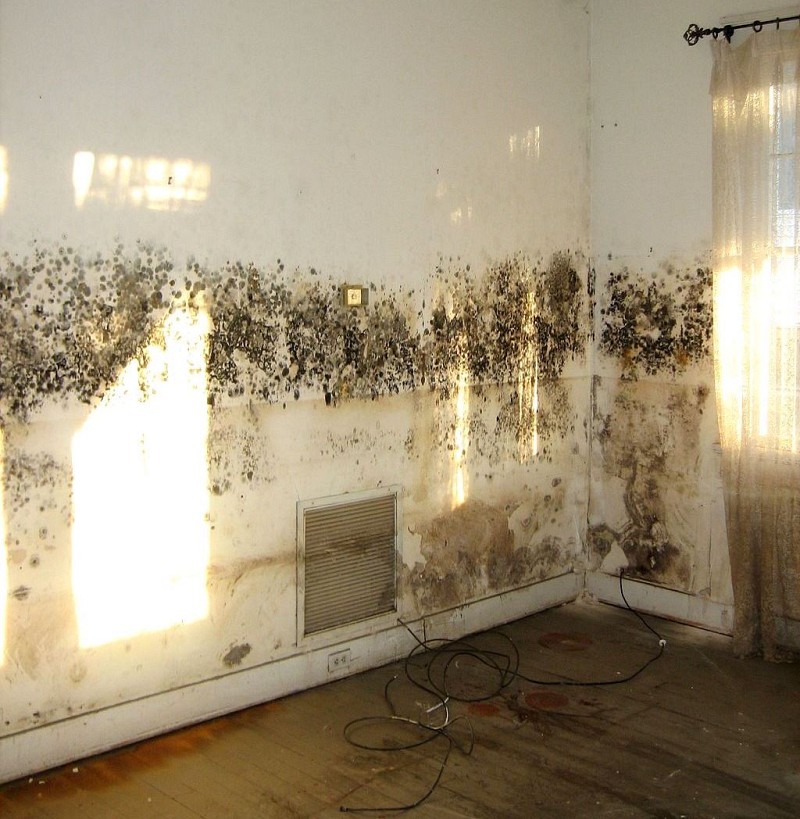 Mold in Your Home Starts and Ends with Moisture Control – yellowblue