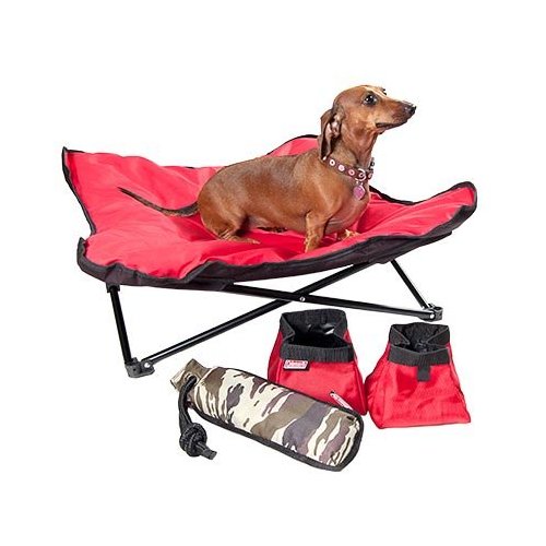 Coleman pet outlet bed