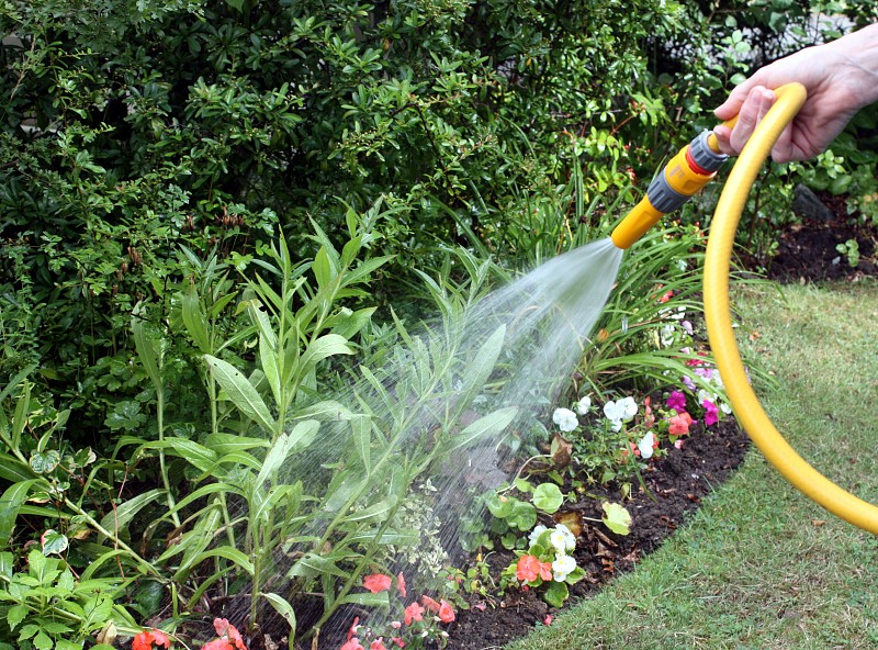 Top Fertilizing Mistakes Gardeners Make | Networx