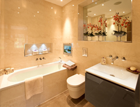 The Evolution of the Bathroom | Networx